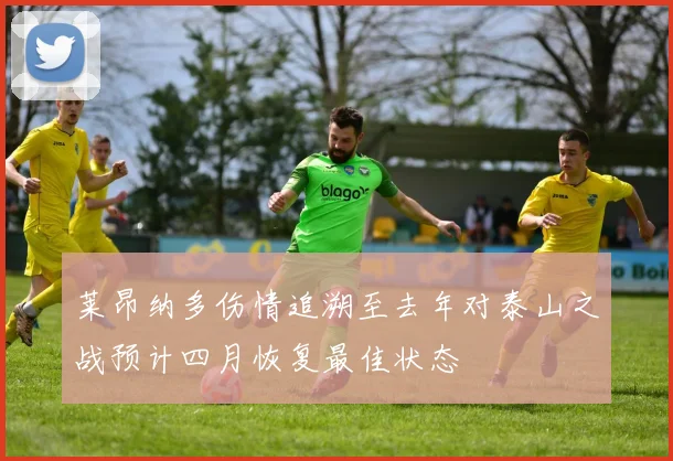 莱昂纳多伤情追溯至去年对泰山之战预计四月恢复最佳状态